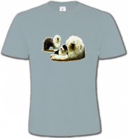 Famille Bobtail Berger Anglais (E)
