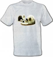 Famille Bobtail Berger Anglais (E)