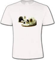 Famille Bobtail Berger Anglais (E)