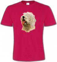 Tête de Bobtail Berger Anglais (B)