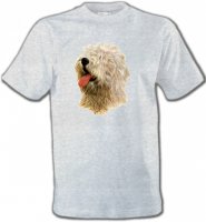 Tête de Bobtail Berger Anglais (B)