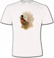 Tête de Bobtail Berger Anglais (B)