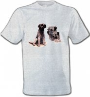 Border Collie Terrier gris (M)