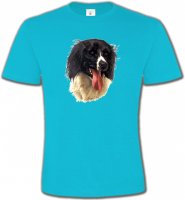 Border Collie noir et blanc (G)