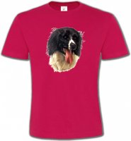 Border Collie noir et blanc (G)