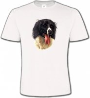 Border Collie noir et blanc (G)