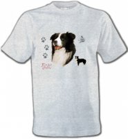 Border Collie noir et blanc (C)