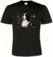 Border Collie noir et blanc (C)