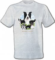 Border Collie (E)