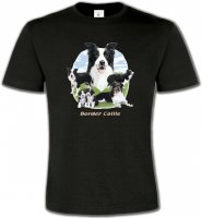 Border Collie (E)