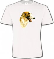Borzoi (A)