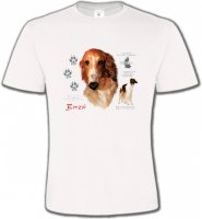 Borzoi (C)