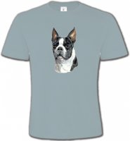 Boston Terrier (D)