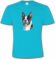 Boston Terrier (D)