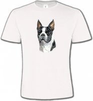 Boston Terrier (D)