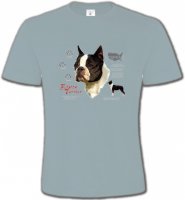 Boston Terrier (A)