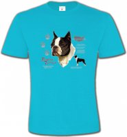 Boston Terrier (A)