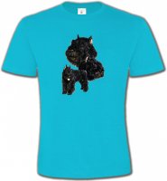 Bouvier des Flandres noir (C)