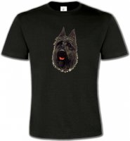 Bouvier des Flandres noir (A)