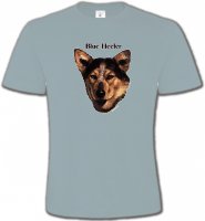 Bouvier australien(A)