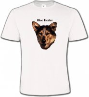 Bouvier australien(A)