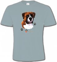 Boxer brun et blanc (B)