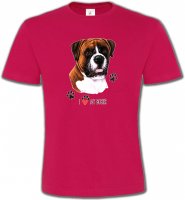 Boxer brun et blanc (B)