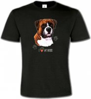 Boxer brun et blanc (B)