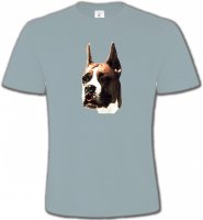 Boxer (C)