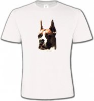 Boxer (C)