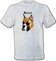 Boxer (E)