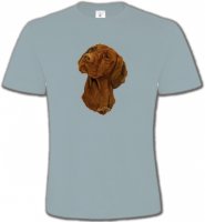 Tête de Braque Hongrois (V)