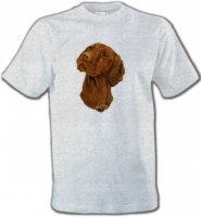 Tête de Braque Hongrois (V)