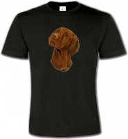 Tête de Braque Hongrois (V)