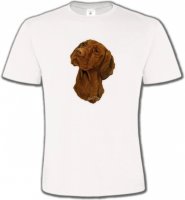 Tête de Braque Hongrois (V)