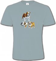 Bulldog Anglais (C)