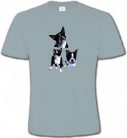 Bulldog Français noir et blanc (BF)