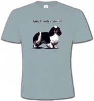 Cavalier King Charles Noir et Blanc (C)