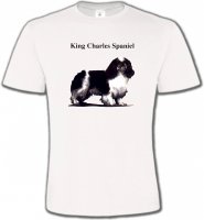 Cavalier King Charles Noir et Blanc (C)