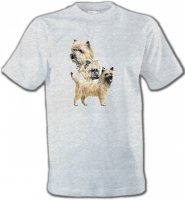Cairn Terrier (A)