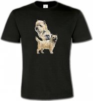 Cairn Terrier (A)