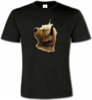 Cairn Terrier (B)