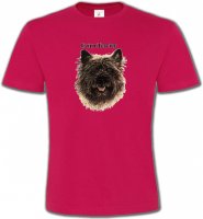 Cairn Terrier (C)
