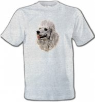 Tête de Caniche (D)