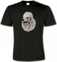 Tête de Caniche (D)