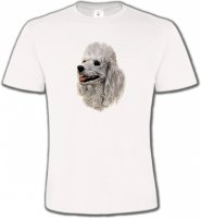 Tête de Caniche (D)