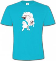 Caniche blanc (N)