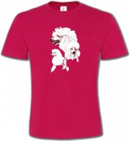 Caniche blanc (N)