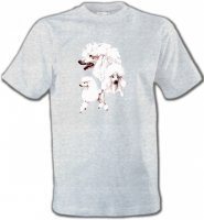 Caniche blanc (N)