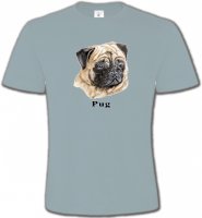 Carlin Pug (C)